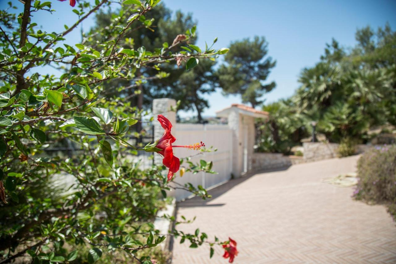 ויאסטה Maison Marie מראה חיצוני תמונה