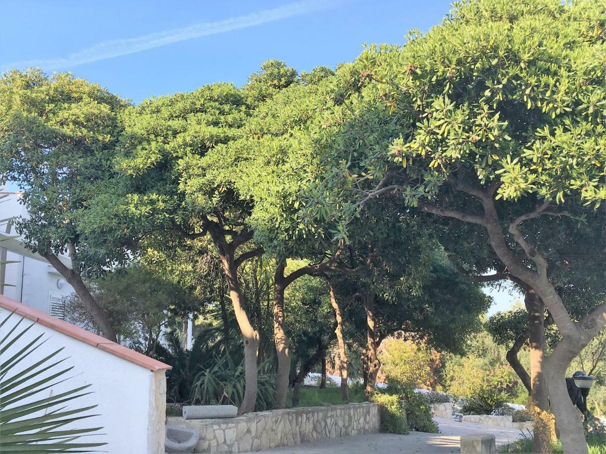 ויאסטה Maison Marie מראה חיצוני תמונה